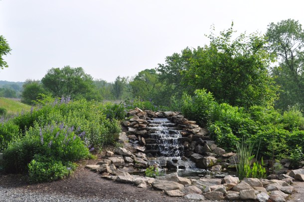 flowering the 15th and miller market 005