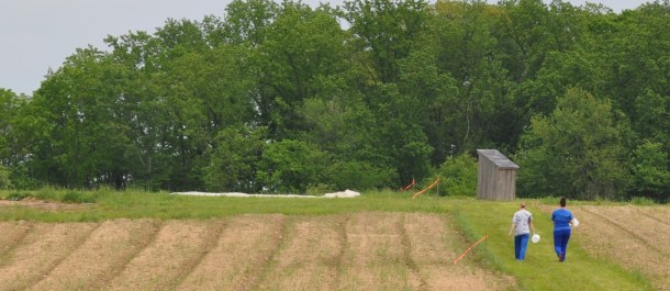 gorman markets and csa week eleven 006