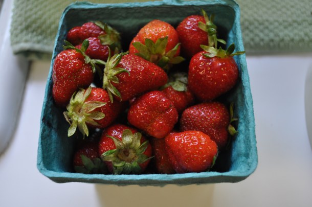 gorman markets and csa week eleven 036