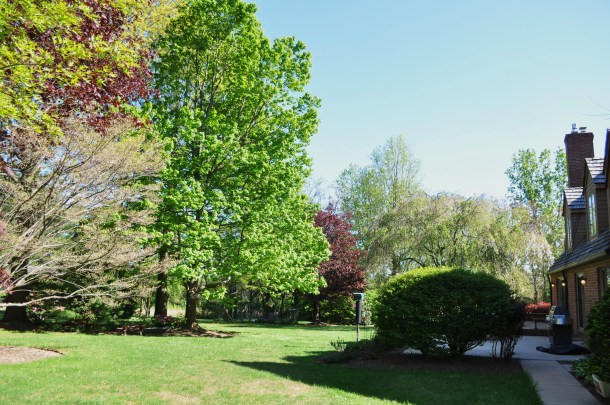 grillin chillin and drinking 060