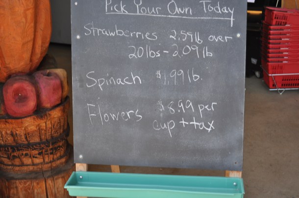 larriland and rhubarb BBQ 017