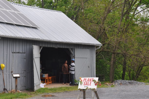 mothers day and gardens and old wine 044