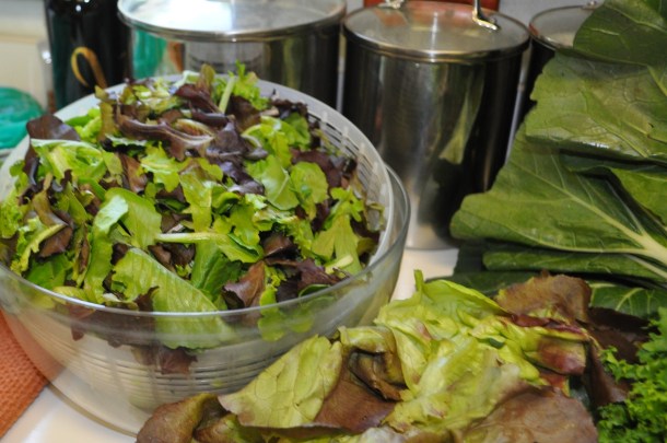 summer csa week two 2013 016