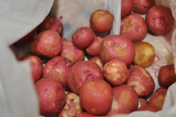 bean soup, markets and finds 016