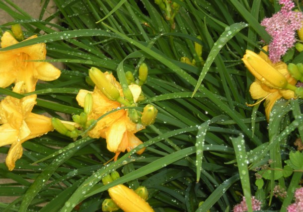 csa week three 2013, storm and fire 059