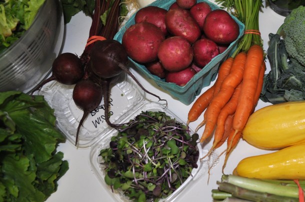 field day prep and csa week 5 2013 014