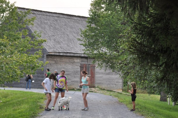 garden and fiddlers 008