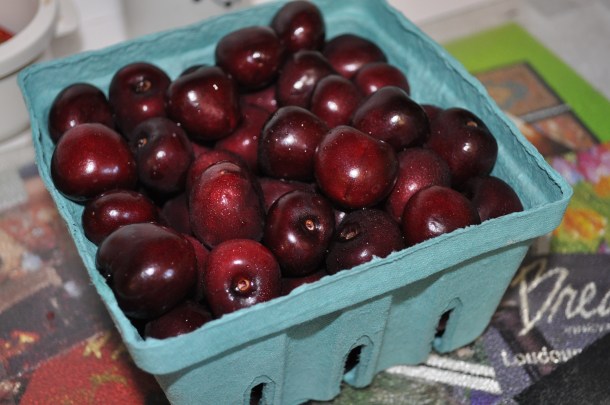 larriland blueberries and my garden 045