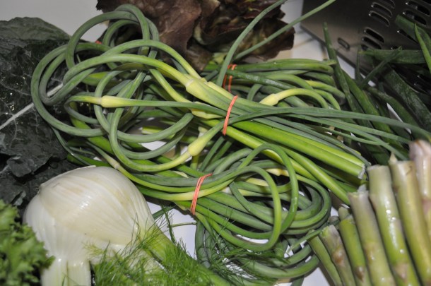 ss csa week3 2013 026