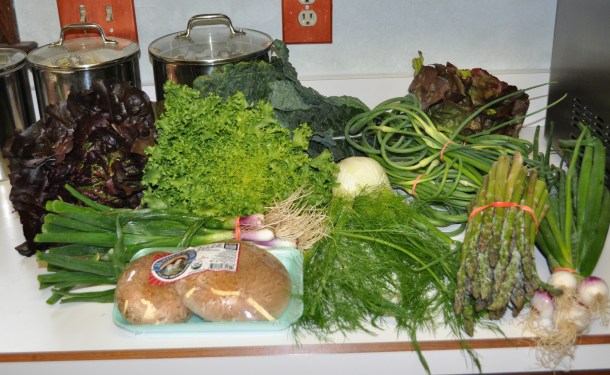 ss csa week3 2013 055