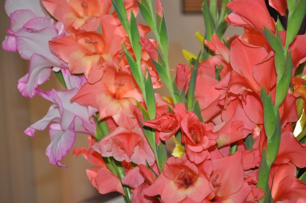 buy local meal practice 060