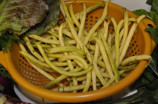 csa summer 2013 week seven 004