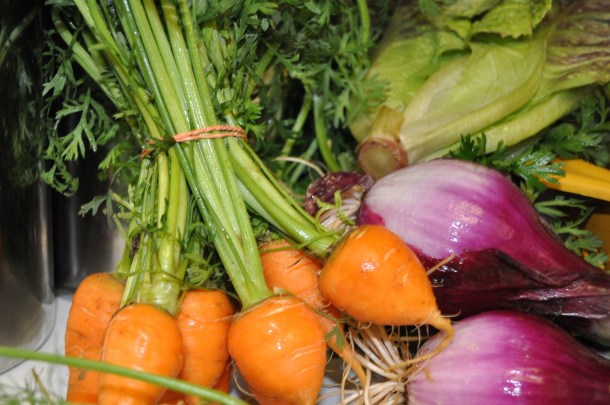 csa summer 2013 week seven 005