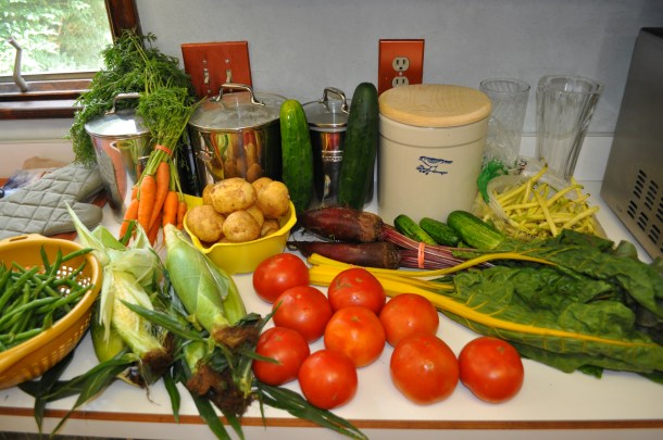 csa week 7 13 and flowers and dinner 003