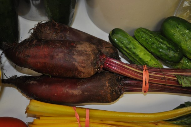 csa week 7 13 and flowers and dinner 010