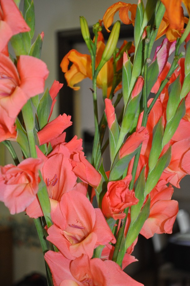 csa week 7 13 and flowers and dinner 025