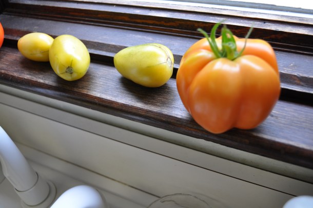 fava bean dinner 021