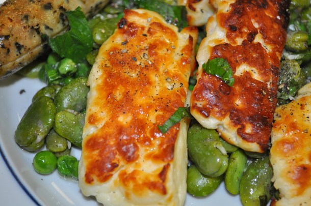 fava bean dinner 034