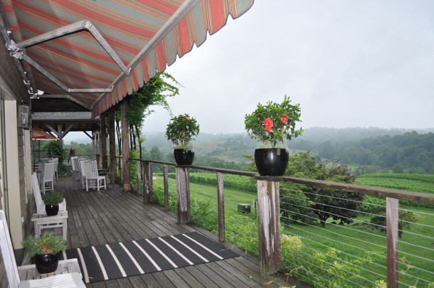 linden in the rain 005