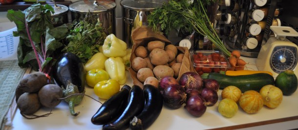 summer csa week 11 2012 003