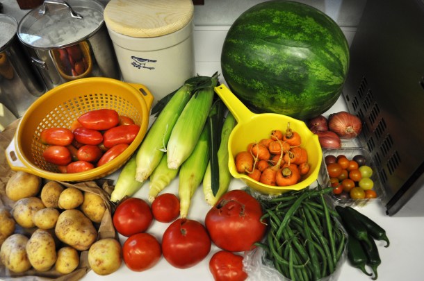 bees, birds, csa week 13 2013 077
