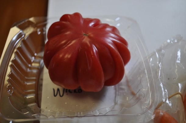 csa summer 2013 week 12 026