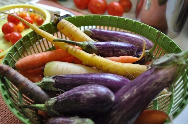 csa summer 2013 week 12 033