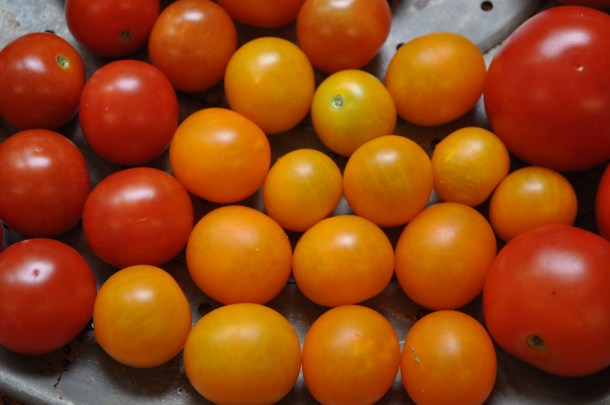 csa week 11 2013 and tabbouleh 001