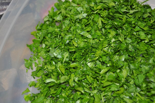 csa week 11 2013 and tabbouleh 043