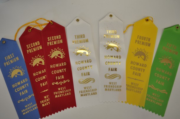 fair ribbons and lamb 003