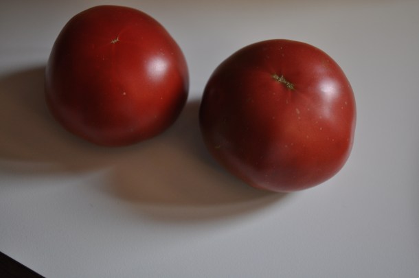 fair ribbons and lamb 011