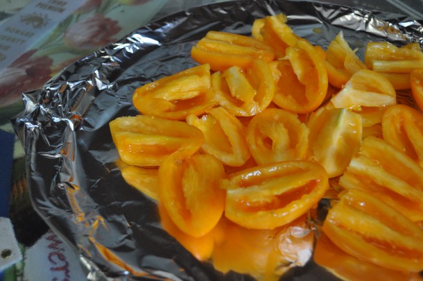 fair ribbons and lamb 019