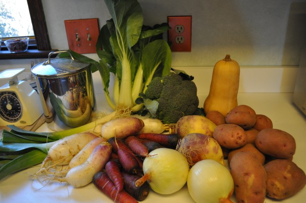 fall csa week 5 2012 and hawk 014