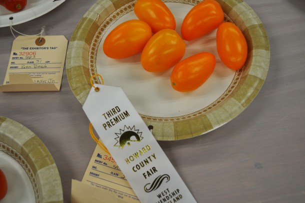 hoco fair opening day 025