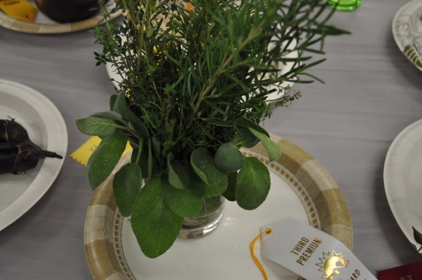 hoco fair opening day 030