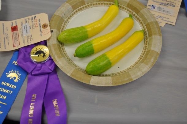 hoco fair opening day 032