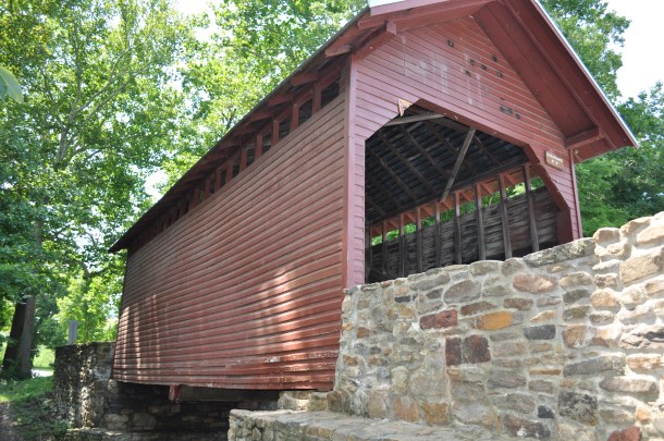 honey bees at catoctin, some turf valley 092