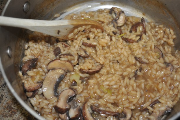 landscape part two sunny day 210