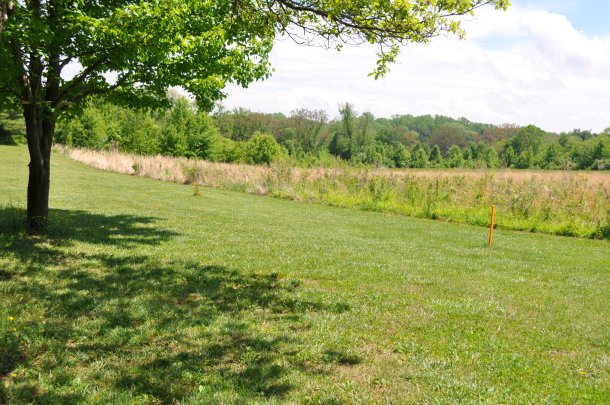 mothers day and gardens and old wine 172