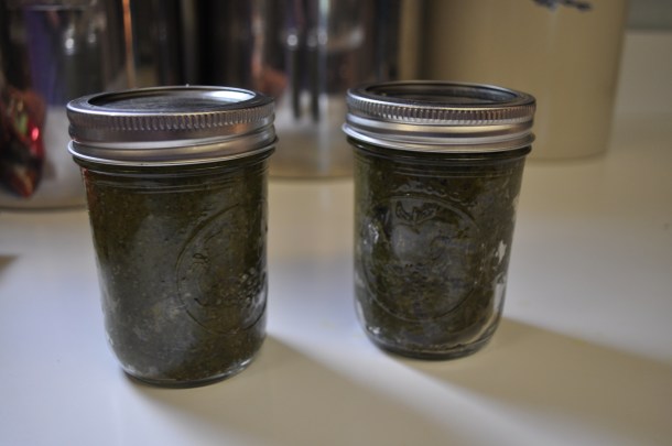 pesto, pasta, sauvignon blanc, tomatoes 061