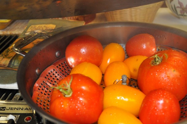 processing foods, tomatoes, beets, eggplant 007