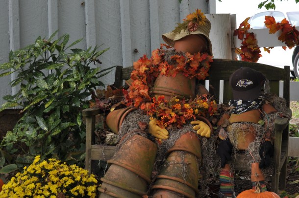 conservancy fall field trips 146