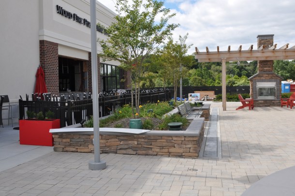 conservancy shots and basil pesto 040