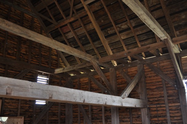 conservancy spring woodstock 006