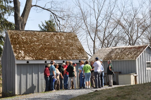 conservancy spring woodstock 020