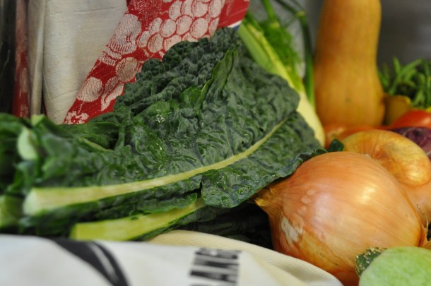 csa week 16 2013 029