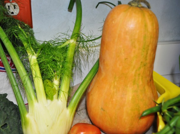 csa week 16 2013 036