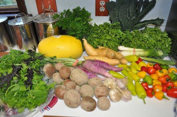 csa week 19 2013 and al fresco dinner 005