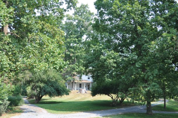 farmland pics and csa week 17 2013 003