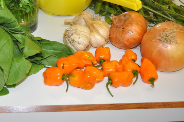 farmland pics and csa week 17 2013 045